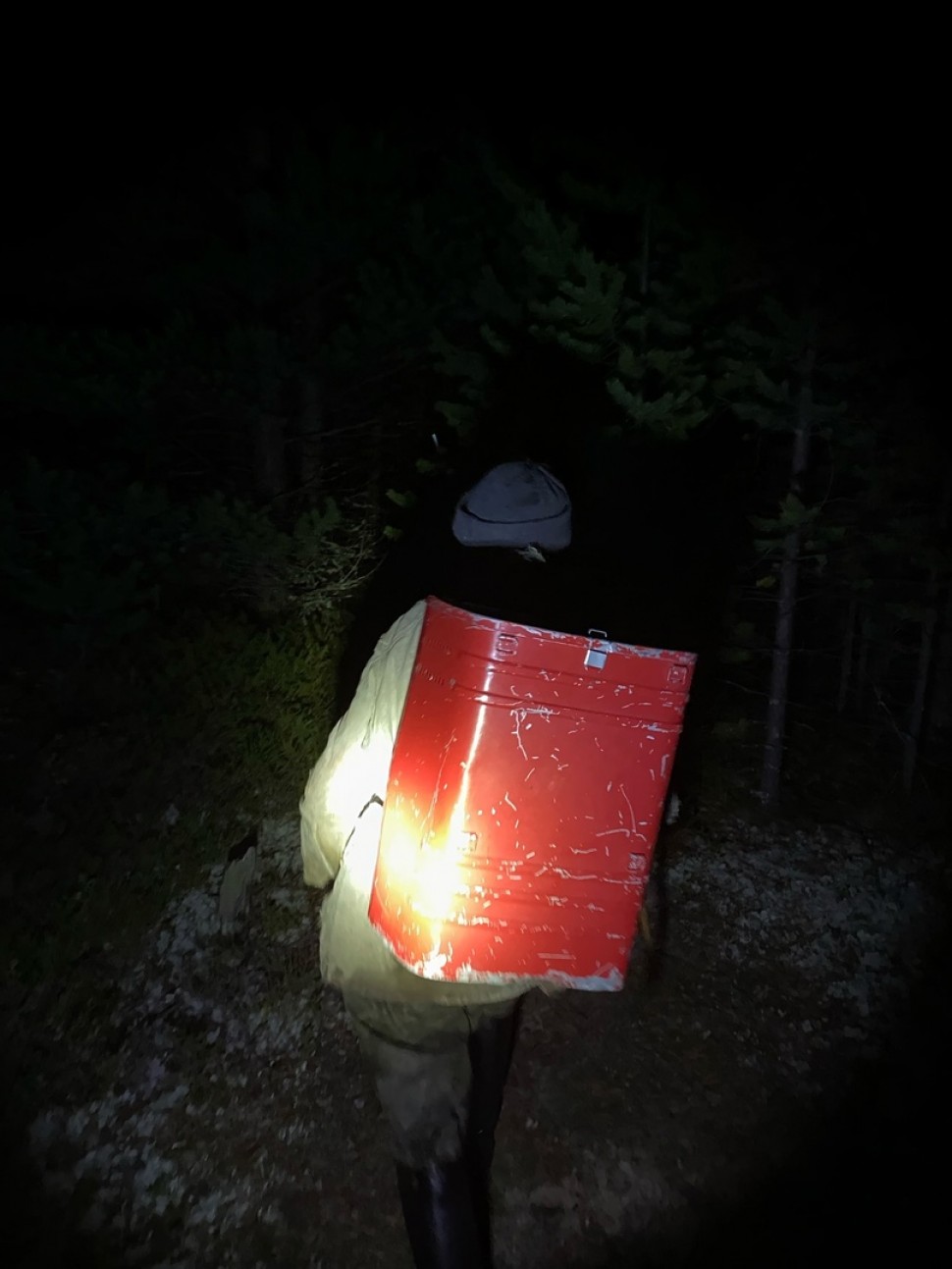 Северодвинские спасатели вывели из леса заблудившегося мужчину
